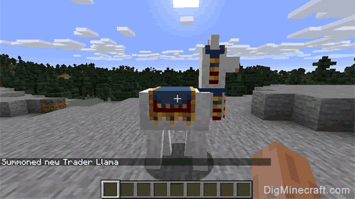 completed summon trader llama