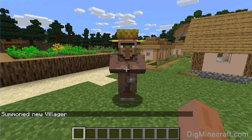 completed summon villager