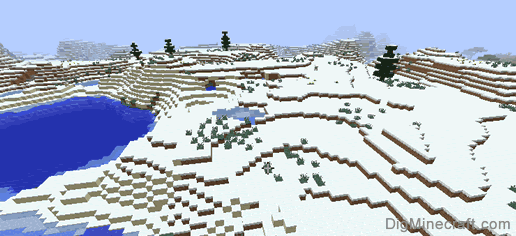 snowy plains biome