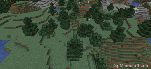 windswept forest biome