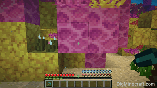 dead brain coral block with pickaxe