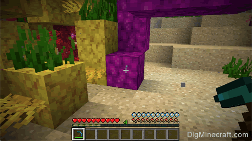 dead bubble coral block with pickaxe
