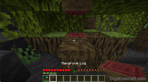 make mangrove log