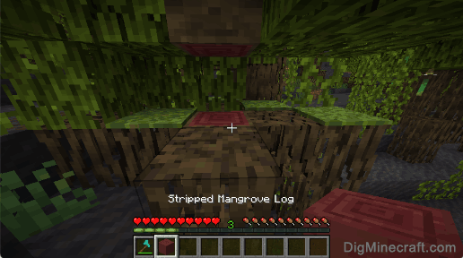 make stripped mangrove log