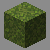 moss blocks