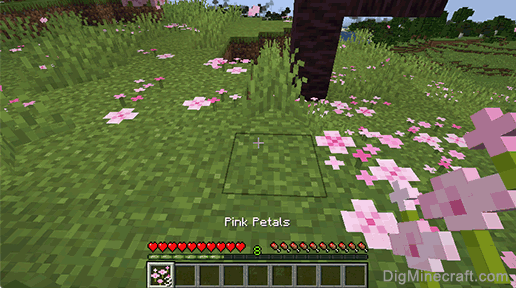 pink petals gathered