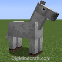 horse variant 0