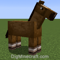 horse variant 1