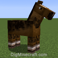 horse variant 1025