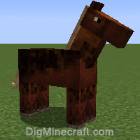 horse variant 1026