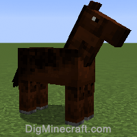 horse variant 1027