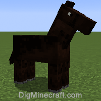 horse variant 1030