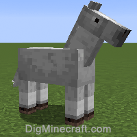 horse variant 256