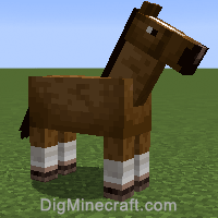 horse variant 257