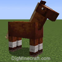 horse variant 258