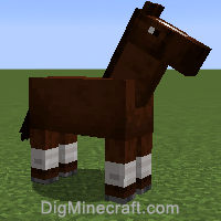horse variant 259