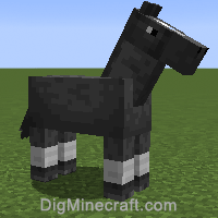 horse variant 261