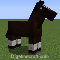 horse variant 262