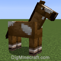 horse variant 513