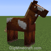 horse variant 514