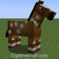 horse variant 769