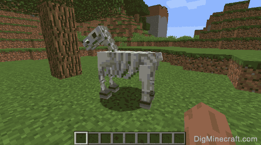 taming skeleton horse