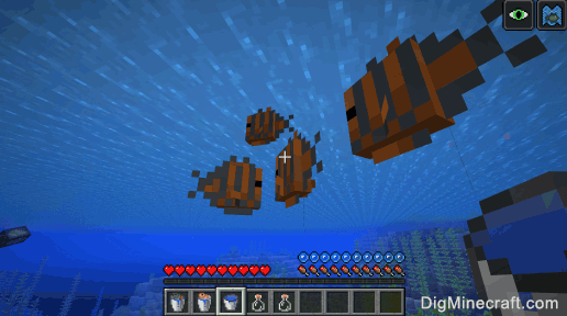 How To Make A Bucket Of Tropical Fish In Minecraft