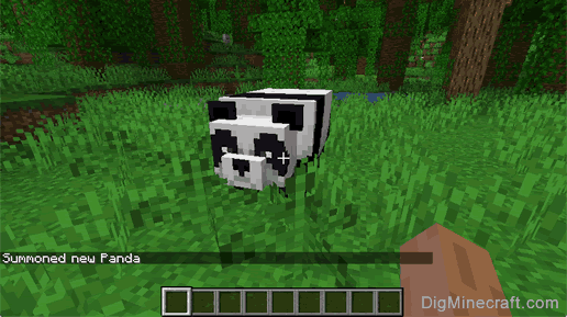 Things You Didn't Know About Pandas! Let's Play Minecraft Feeding