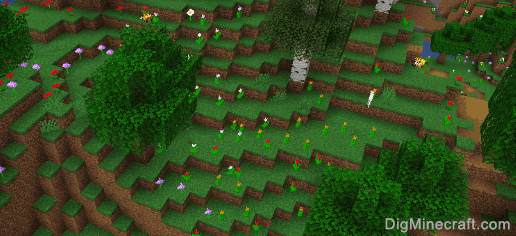 Flower Forest In Minecraft