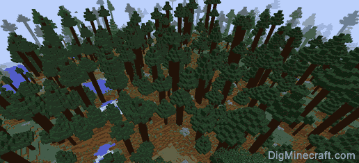 Huge old growth spruce taiga island with mountains up to Y: 173 :  r/minecraftseeds