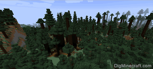 Where to find a taiga biome in Minecraft?