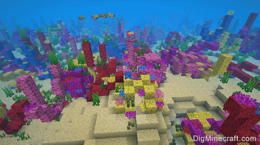 Coral Reef in Minecraft