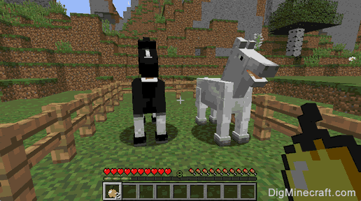 how to use eclipse to find horse model minecraft