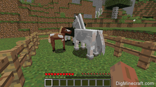 how to breed horses