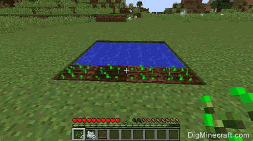 How To Farm In Minecraft
