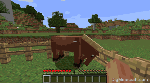 How To Feed A Horse In Minecraft