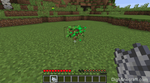 How to Grow a Tree in Minecraft