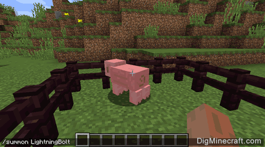 Ow To Turn A Pig Into A Zombified Piglin In Minecraft