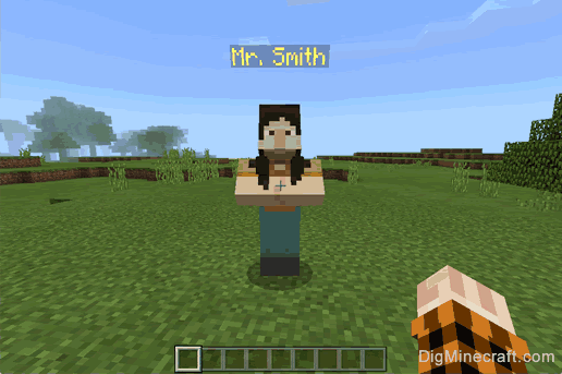How To Change The Color Of The Npc S Name In Minecraft
