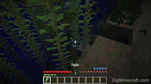 How do you find kelp in minecraft