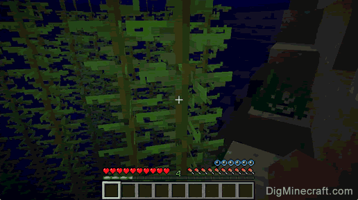 How do you get dried kelp in minecraft pe