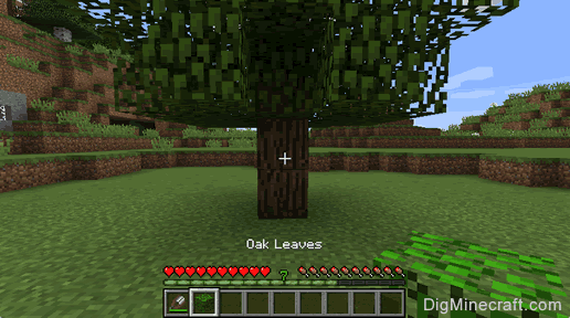 making minecraft tree leaf guide