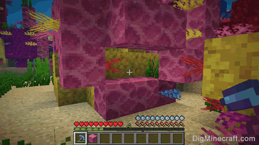 How to make a Brain Coral Block in Minecraft