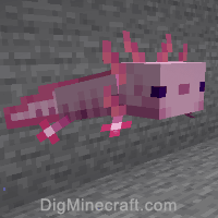 Axolotl In Minecraft