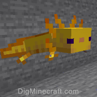 How To Summon An Axolotl In Minecraft
