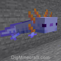 How to summon blue axolotl minecraft pe