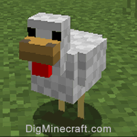 Nbt s For Chicken In Minecraft Java Edition 1 16