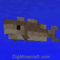 Nbt s For Cod In Minecraft Java Edition 1 16