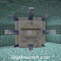 How to make sponge in minecraft 116