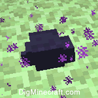 My friend spawned an endermite in my base so I made it my pet. : r
